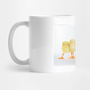 Chicks, Mug